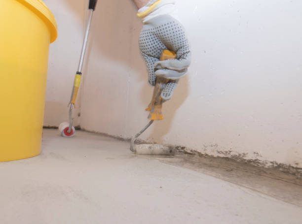 Best Pest Exclusion Services  in Napavine, WA